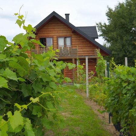 Dom Pachnacy Zywica Villa Bochnia Exterior photo