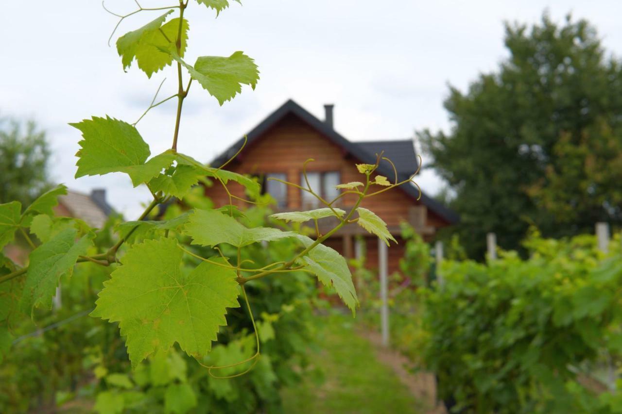 Dom Pachnacy Zywica Villa Bochnia Exterior photo
